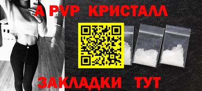 СК Гатчина