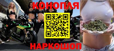 СК Гатчина