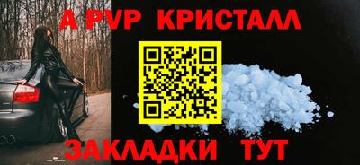 СК Гатчина